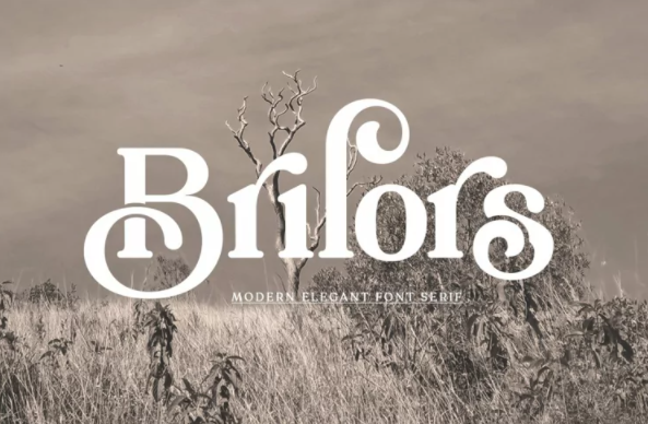 [Fontbundles] Brilors Serif (2022)_0.png